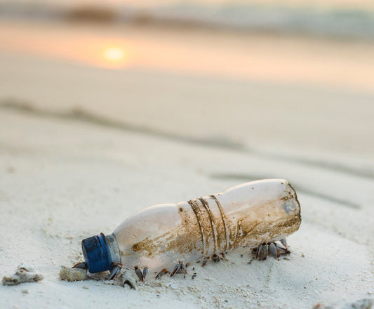 Plastflaska på stranden i solnedgång
